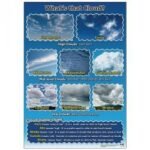 What39s That Cloud Poster