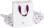 Radymade Paper Bag
