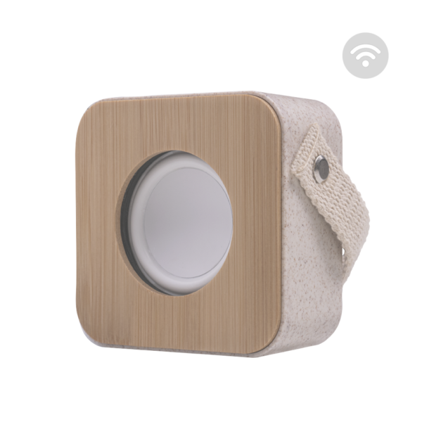 Eco-Friendly Bluetooth Speakers