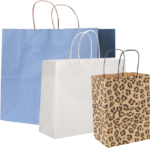 Twisted Handle Paper Bag