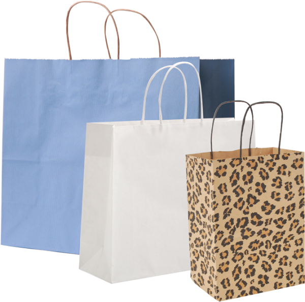 Twisted Handle Paper Bag