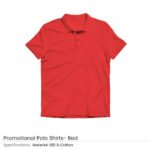 Polo TShirts - Image 4