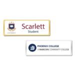 Shiny Gold and Silver Plated Badges - Image 4