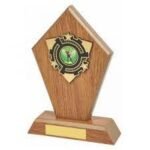 3d Award Plaques - Image 5