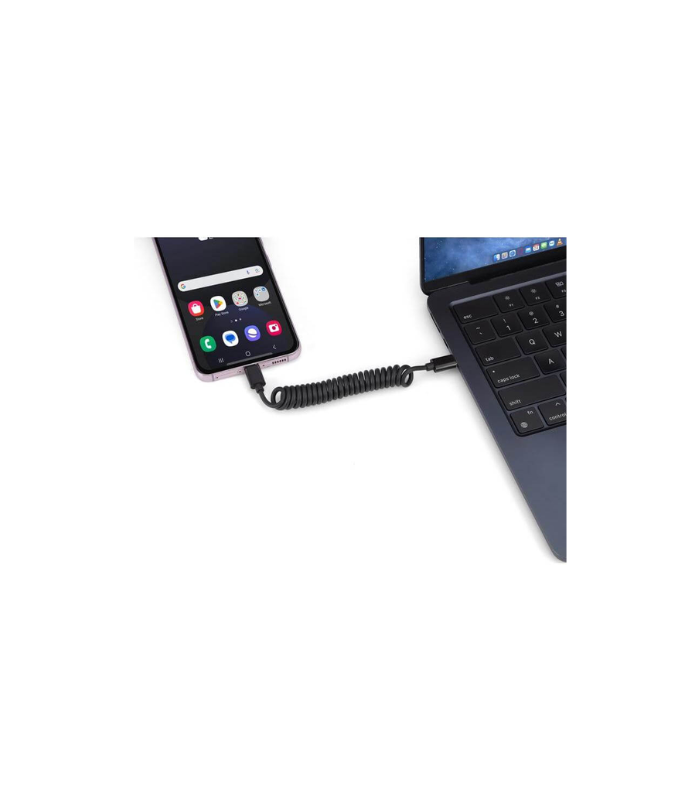 CORDA - Giftology Curled Cable & Adapter Kit
